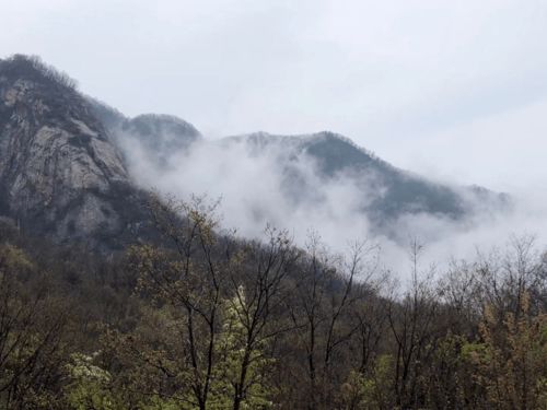 曹向辉 镇平的老北山