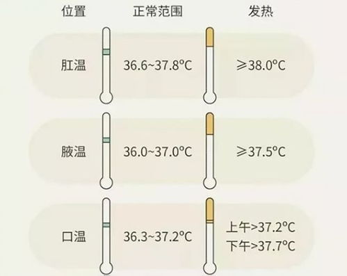 人早上的体温是不是比晚上的体温低？