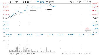 乐山电力这股票未来方向如何