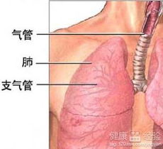 支气管炎症状，气管炎的症状有哪些
