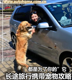【为了你的“它”长途旅行携带宠物攻略_上海绅协维修保养】-汽车之家