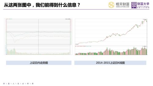 怎么能看出一直股票每个价位上的买卖数量