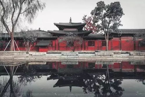绝美 占地40000㎡的广富林文化遗址下周二起试运行 