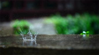 亲怎么造句子,仿写雨滴亲吻着大地微语道？