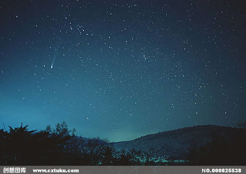 陆介政 寥若晨星 