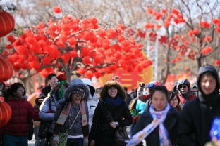 北京郊区春节去哪玩