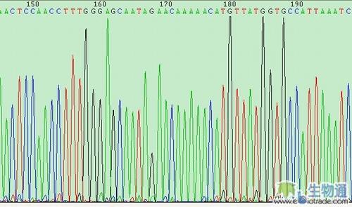 创新参选 PCR产物直接测序方法的改进 