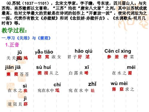 诗词六首下载 语文 