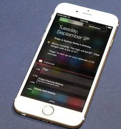 iPhone6 Plus价格撞车vivo X9P,到底应该买苹果,还是买安卓 