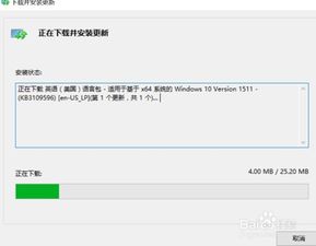 win10系统如何添加中文系统包