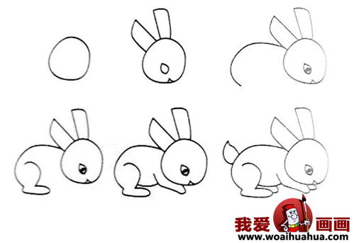 儿童简笔画教程大全 小白兔的画法图片