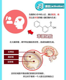 中国单身人口2.4亿 从医学角度分析,为何今年七夕你又是一个人