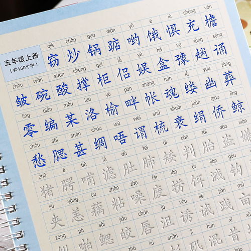 幼儿园学写练字帖英文儿童描红本学前班练字贴田字格小学生笔画描