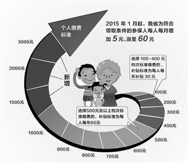 河北城乡养老保险费河北省城乡居民养老保险缴费标准