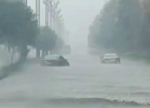 大丰再度进入大风暴雨天气, 秋老虎 还会来吗