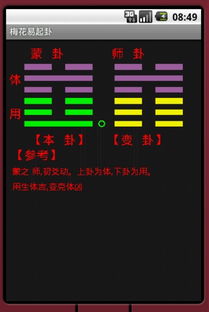 梅花易排盘 安卓版免费下载 豌豆荚 