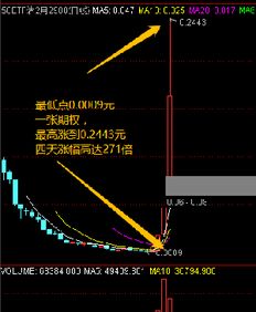 2022年2月9日个股期权开通对股市的影响