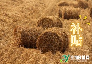 湖北补贴1.19亿鼓励企业用秸秆发电降霾