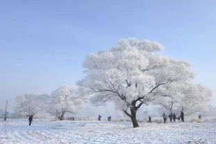 雪景如诗如画名言;今冬天气趋势预报名言？