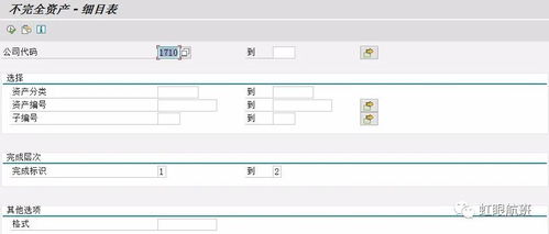 sap期初导资产代码 SAP资产会计的年结