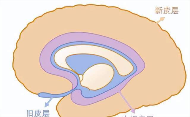 人在临终前,咽下最后一口气时,到底有多痛苦 听医生怎么说