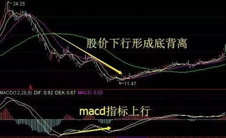 股票中macd线怎么算？！被套（套牢）是什么意思？