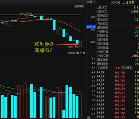 1 18操作 今日是否可以抄底 不妨进来一看 