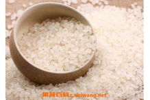 粳米和大米的区别，粳米和大米有什么区别