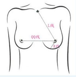 女人完美乳房标准图解 