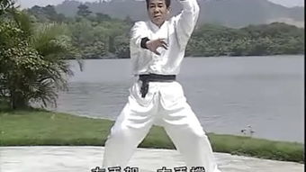 鹤形拳 – 