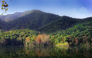 金盆山 江西省赣州市金盆山 搜狗百科 