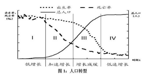 人口红利毕业论文