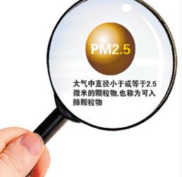 北京PM2.5创年度最大降幅是怎么回事 