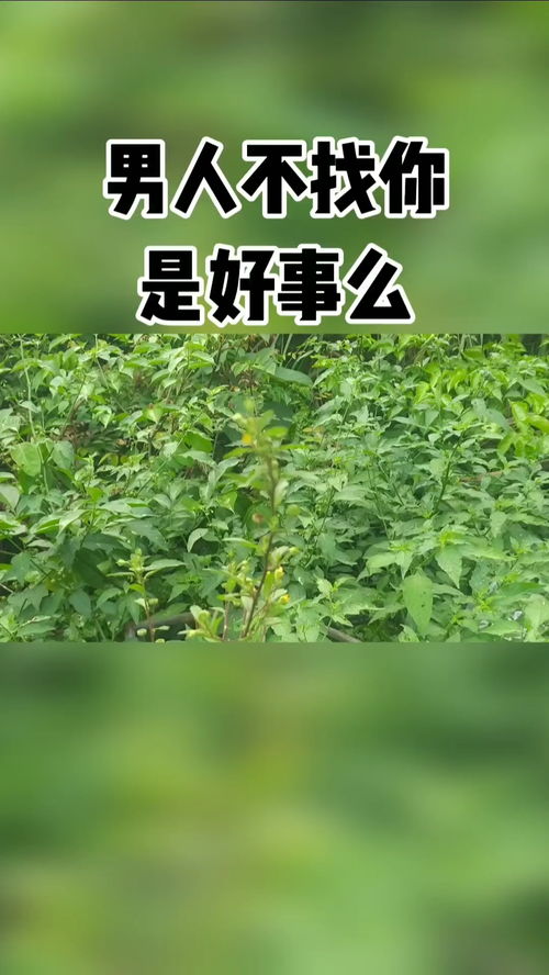 感情修复期应该怎么做