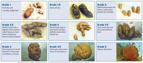 其每次粪便颜色也会有一些差别)