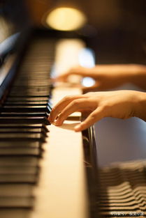 钢琴艺考上大学都有什么专业