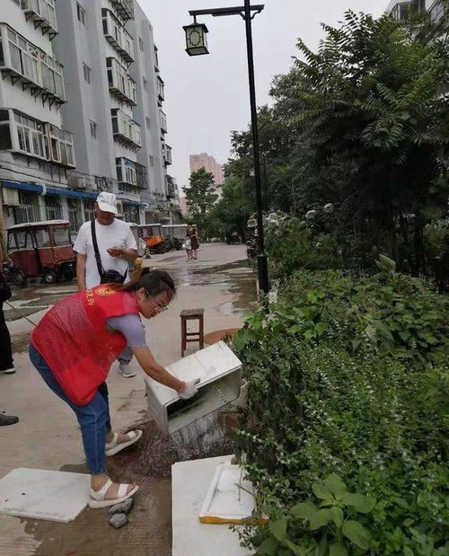 河北邯郸复兴化林路街道