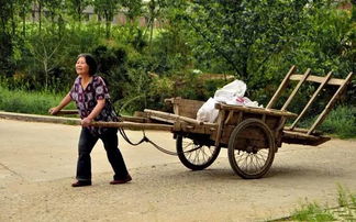 大名曾经生产的这款车 你知道是什么车吗