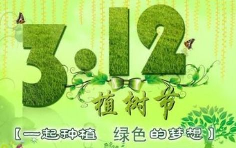 为什么要过植树节 