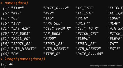 Mac R语言.xlsx文件读取为data.frame和操作示例