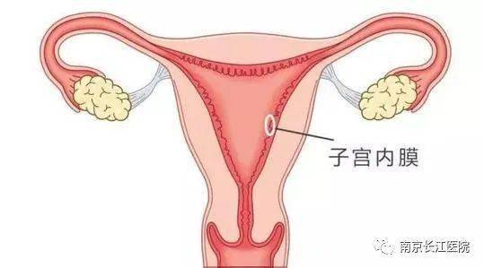 子宫内膜的正常厚度(子宫内膜正常厚度是多少)
