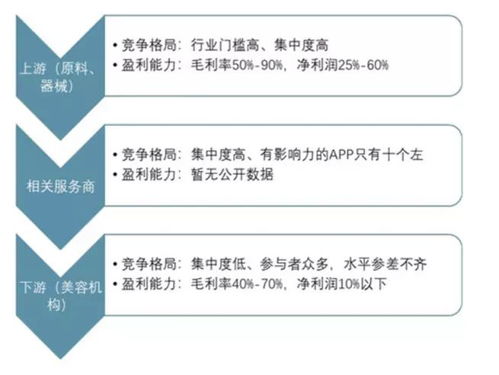 价值分析 爱美客 300896 ,未来是三年五倍的价值股