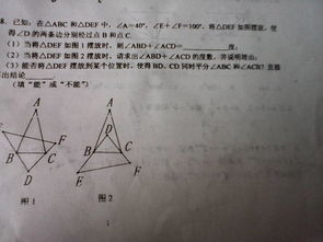 有人擅长数学吗 