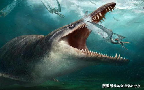 鲨鱼霸主上位史 被打压4亿年,终于等来巨齿鲨,结果遇到冰川期