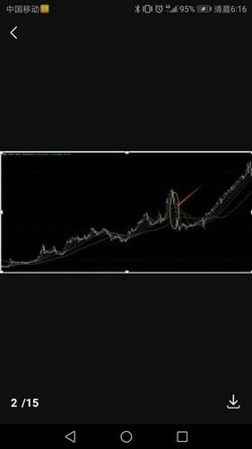 涨停后第二天放量下跌