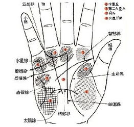 拥有这些手相的人,必有可能成为富豪