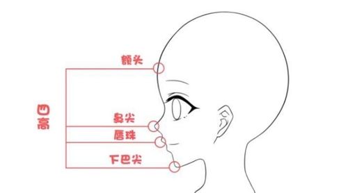 五官怎么画 三庭五眼和四高三低是什么