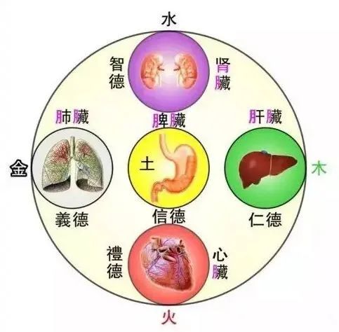 好孩子为什么也撒谎 错误的家庭教育方式看看你中招了没有