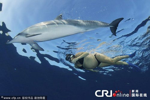 夏威夷两名孕妇海底嬉戏 引来海豚同游 