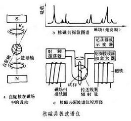 核磁共振波普仪 搜狗百科 